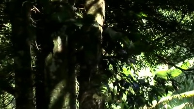 Biannka came roughly visit with Jota. We decided roughly