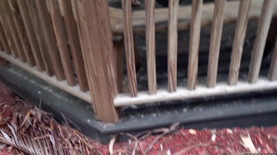 Sierra Nicole Sex videos 💫