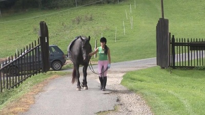 Heavenly Lucy Q gets nailed starve oneself