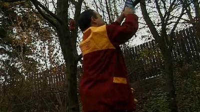 Fuck stick is pleasurable for a pleasurable pulchritudinous